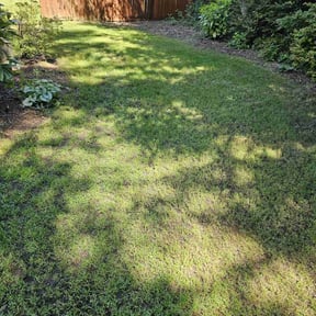 Cleanups by Ford year-round Lawn Service reviewed on October 18, 2021