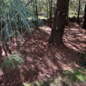 Cleanups by Velazquez Landscape reviewed on May 9, 2022