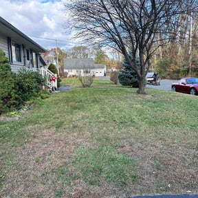 Leaf Removal by Ras property Management reviewed on May 24, 2022