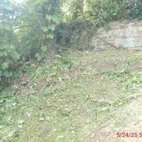 Cleanups by MPV Landscaping reviewed on December 29, 2021