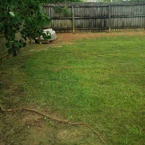 Cleanups by K C lawn care reviewed on July 1, 2022