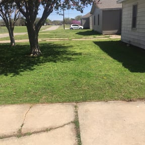 Cleanups by BabyGirls Mow reviewed on April 25, 2025