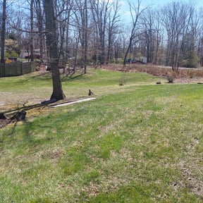 Leaf Removal by Ramos Landscaping reviewed on May 20, 2022