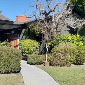 Bush Trimming by Walsh Landscape - Irrigation reviewed on June 4, 2022