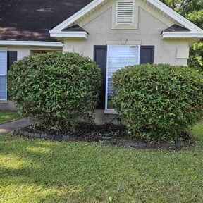 Bush Trimming by Hugheslandscaping reviewed on August 5, 2025
