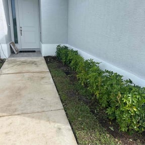 Bush Trimming by C&R Hauling&Landscaping reviewed on June 18, 2022