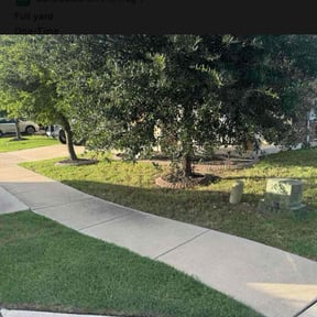 Bush Trimming by N&C Lawn Service LLC. reviewed on January 24, 2022