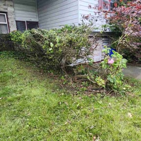 Leaf Removal by Bryson property services reviewed on April 29, 2022