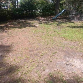 Leaf Removal by Paradise Lawn Service reviewed on May 21, 2025