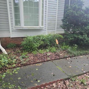 Bush Trimming by Universal services rcr LLC reviewed on June 15, 2022