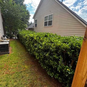 Bush Trimming by Don's Landscaping LLC reviewed on August 6, 2022