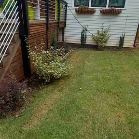 Flower Bed Weeding by Court Landscaping reviewed on March 12, 2025