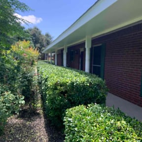 Bush Trimming by Bean Sprout Lawn Service LLC reviewed on May 18, 2022