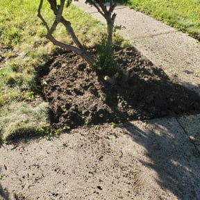 Cleanups by Cutting Edge Lawn Mowing reviewed on May 19, 2022