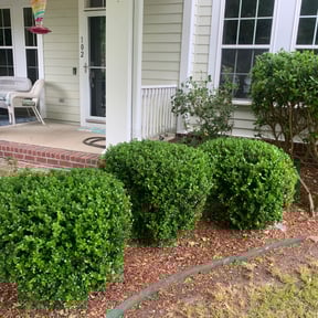 Bush Trimming by Turnerz Does it All reviewed on June 26, 2025