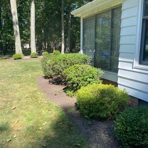 Bush Trimming by Rays Lawn Grooming & Snow Removal LLC reviewed on May 29, 2022