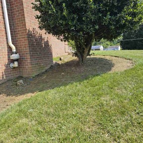 Flower Bed Weeding by D.P.S (Dave Property Services) reviewed on November 20, 2024