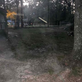 Cleanups by Dabbic Lawn Care LLC reviewed on June 13, 2022