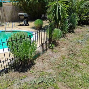 Bush Trimming by Innovative Property Services reviewed on December 6, 2023