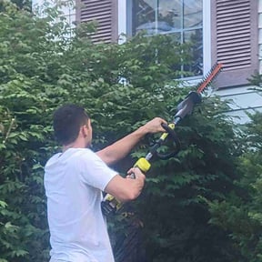 Bush Trimming by Leos lawns reviewed on April 21, 2022