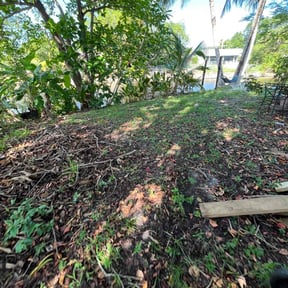 Leaf Removal by Haus Property Management reviewed on April 17, 2023