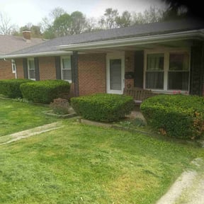 Bush Trimming by S&S Lawn Care reviewed on August 1, 2022