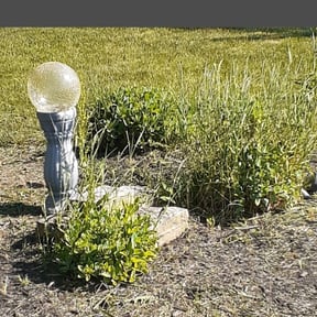 Flower Bed Weeding by Lie=less Lawncare& Home Improovement reviewed on July 4, 2025