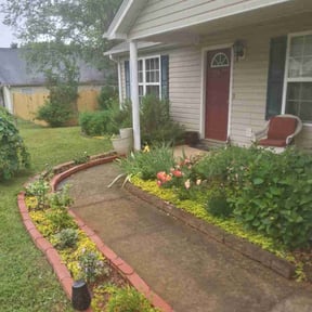 Leaf Removal by ABC Enterprises reviewed on July 16, 2022