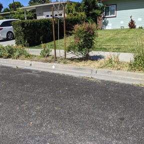 Flower Bed Weeding by Pineda landscaping reviewed on June 13, 2022