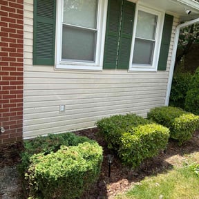 Cleanups by Joeys grass cutting llc reviewed on September 5, 2024