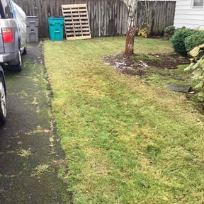 Leaf Removal by Robert Norton’s Lawn Care reviewed on November 27, 2024