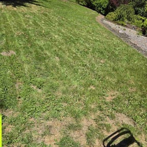 Mulching by A-Z Land Care reviewed on July 30, 2025