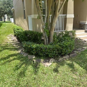 Bush Trimming by Matthews Lawn Care reviewed on April 29, 2022