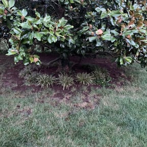 Cleanups by Jeri Cleaning Services reviewed on April 30, 2025