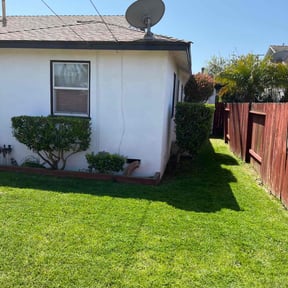 Bush Trimming by Precision Lawn & Property Services, LLC reviewed on June 25, 2021