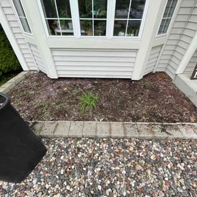 Flower Bed Weeding by DWillPower reviewed on July 20, 2022