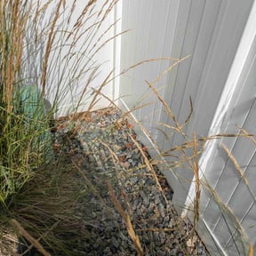 Weeding by Joel Rojas reviewed on August 30, 2024