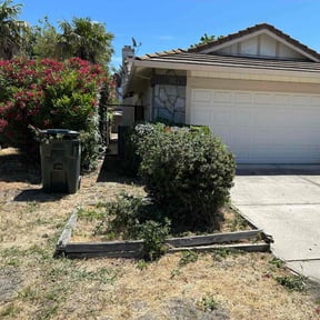 Bush Trimming by Texas Green Acres lawn service reviewed on July 27, 2022