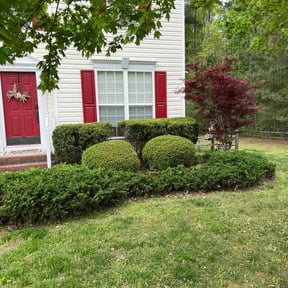 Bush Trimming by Precision Lawn Experts reviewed on March 10, 2025