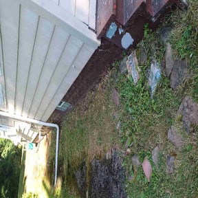 Flower Bed Weeding by Green Matters Lawn Care reviewed on August 4, 2024