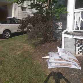 Flower Bed Weeding by All Mowing Services reviewed on May 5, 2022