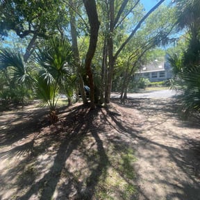 Leaf Removal by Loyal Landscaping reviewed on February 22, 2025