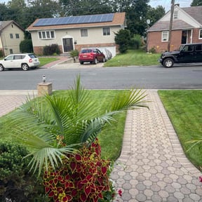 Bush Trimming by Johnson's lawn company LLC reviewed on July 3, 2022