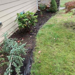 Bush Trimming by Clippin Ur grass landscaping reviewed on October 30, 2024