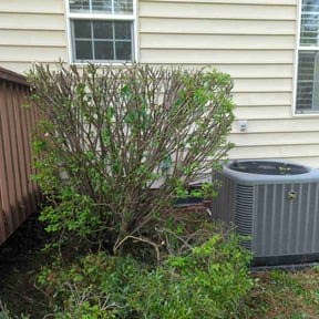 Bush Trimming by Prestige Home Care Lawn Service reviewed on May 22, 2022