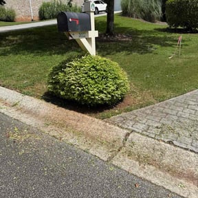Bush Trimming by Newgrowth Lawn and Landscape Services reviewed on March 7, 2025