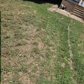 Cleanups by DC Painters and More reviewed on July 22, 2022