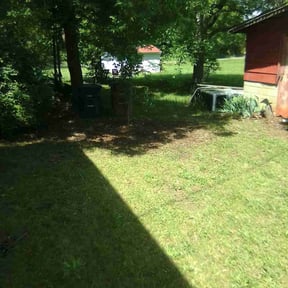 Cleanups by Green T's Lawn & Landscape reviewed on May 9, 2025