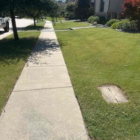 yard maintenance by JAM Property Maintenance reviewed on August 21, 2025