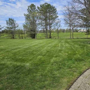 landscaping by Maryhaven farm reviewed on January 19, 2026